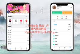 海外Tiktok点赞下注/竞猜下注/开奖预设/多语言伪商城系统