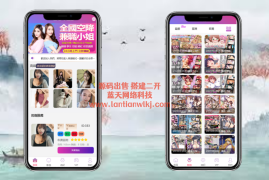 多语言空降刷单源码抢单源码空降源码