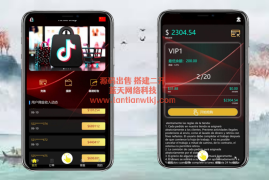 独家定制UI 多语言tiktok刷单源码抢单源码