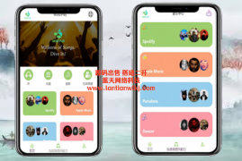 全新定制版本多语言音乐彩票系统